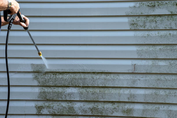 Best Demolition Debris Removal  in New Carlisle, IN
